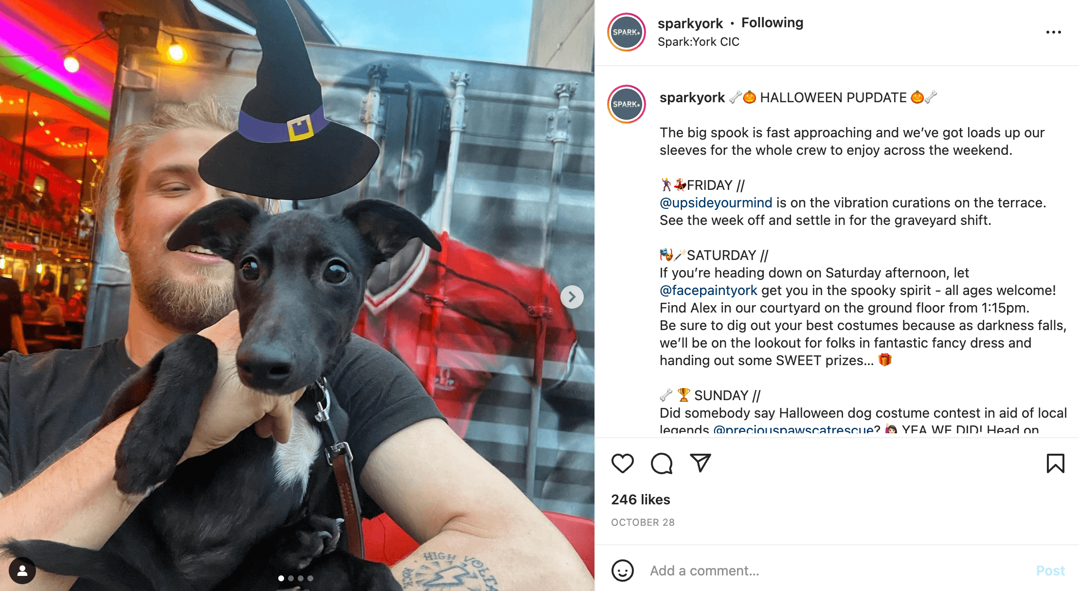 Instagram post of a man holding a black puppy for Halloween