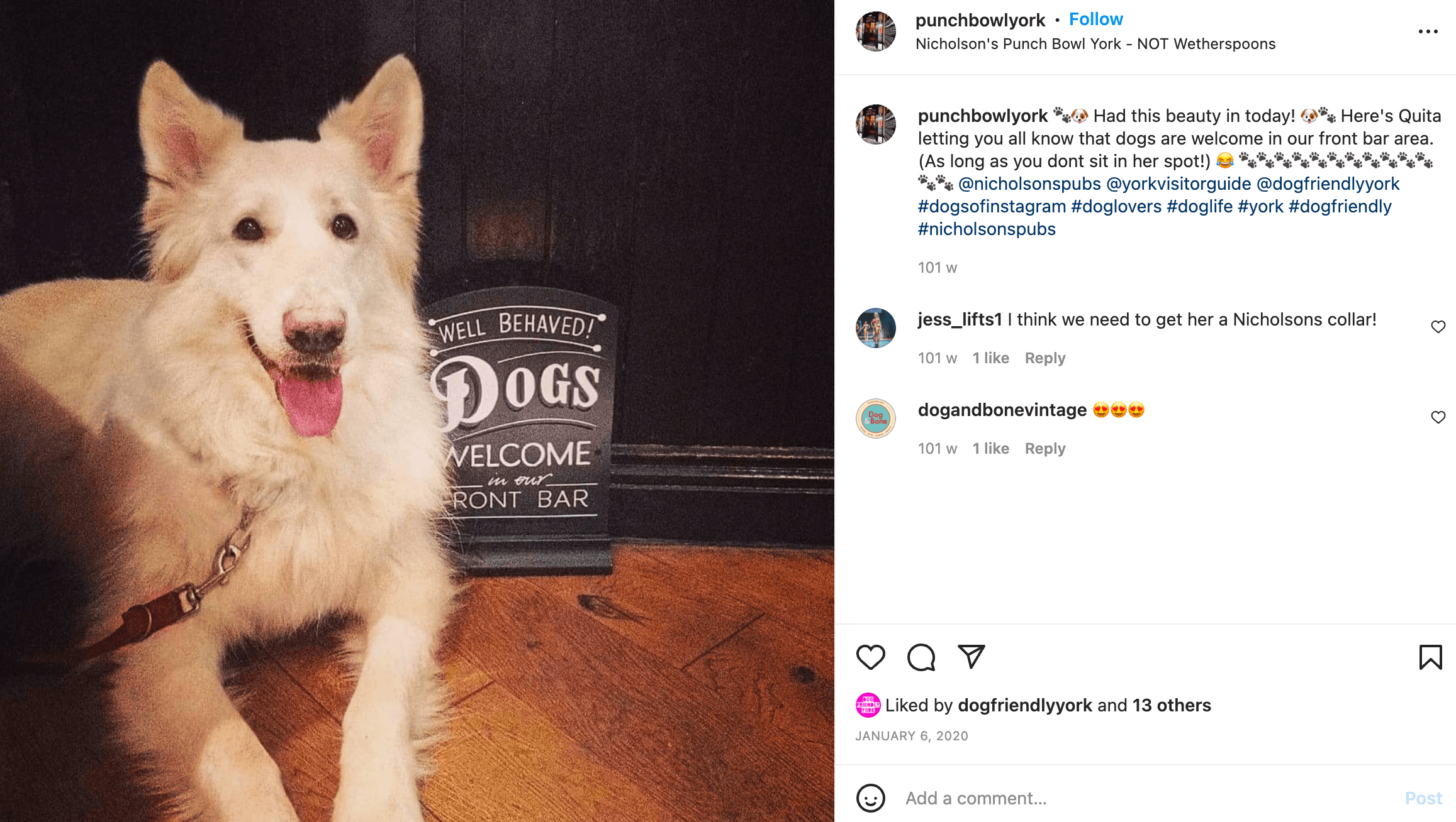 Instagram post of a large white dog lying down next to a 'dogs welcome' sign