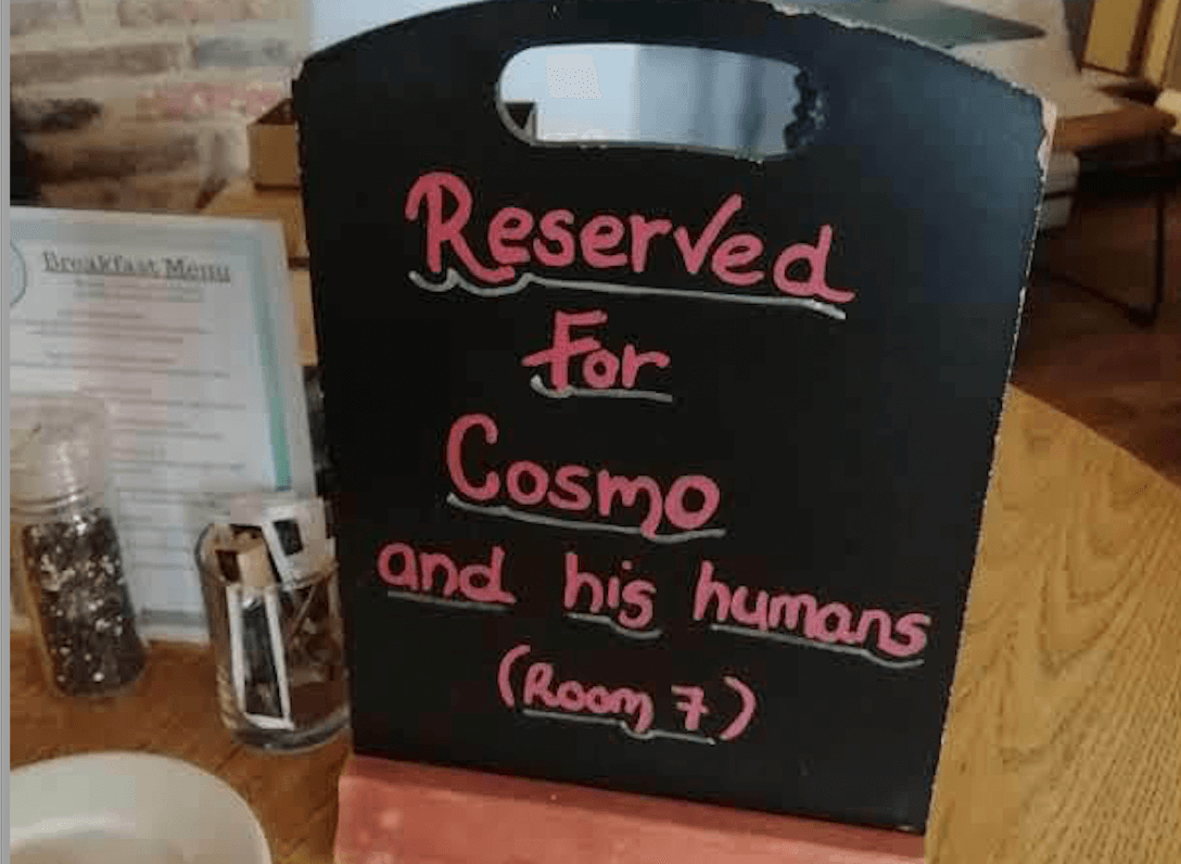 Photo of a dog-friendly blackboard sign on a table in a restaurant