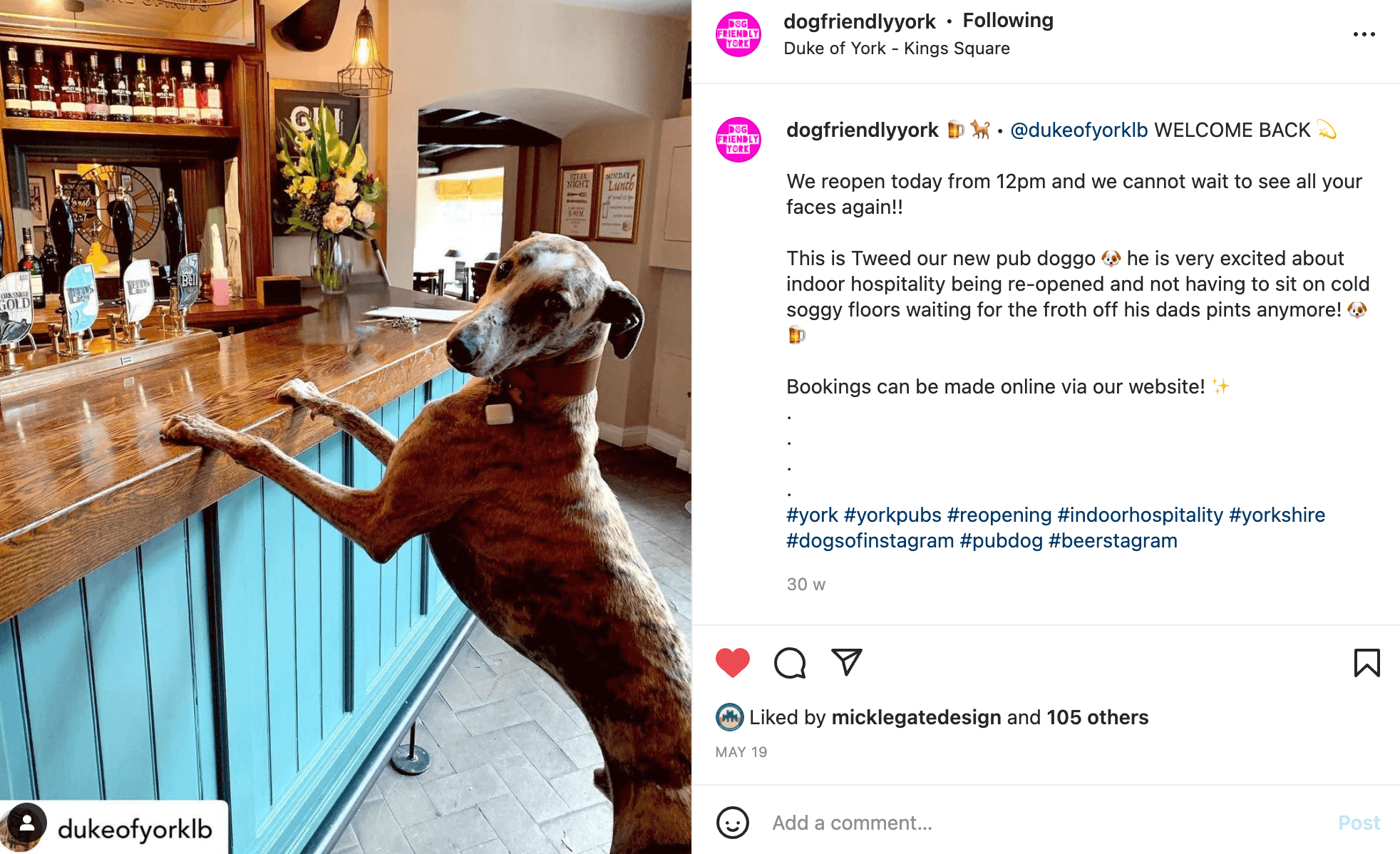 Instagram post of a dog looking at the camera, with his paws on the bar in a pub