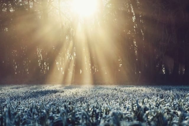 Low winter sun through the trees over frost-covered grass