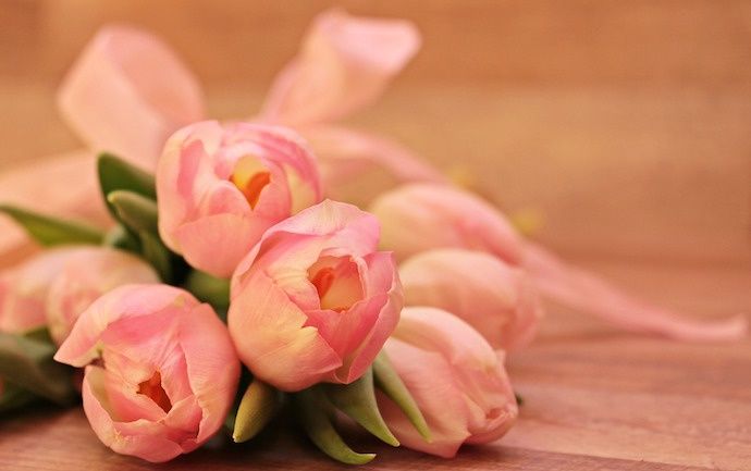 Pink roses tied with a light pink ribbon on a wooden surface.