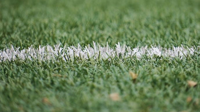 horizontal white line painted on grass