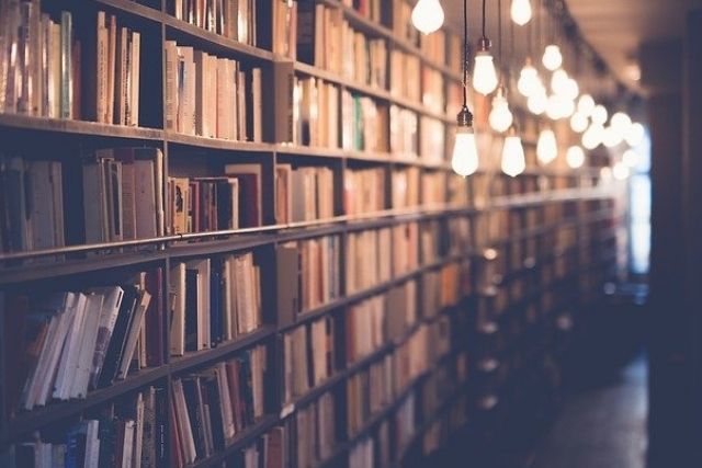 A wall of bookshelves in a library corridor, with lightbulbs hanging down