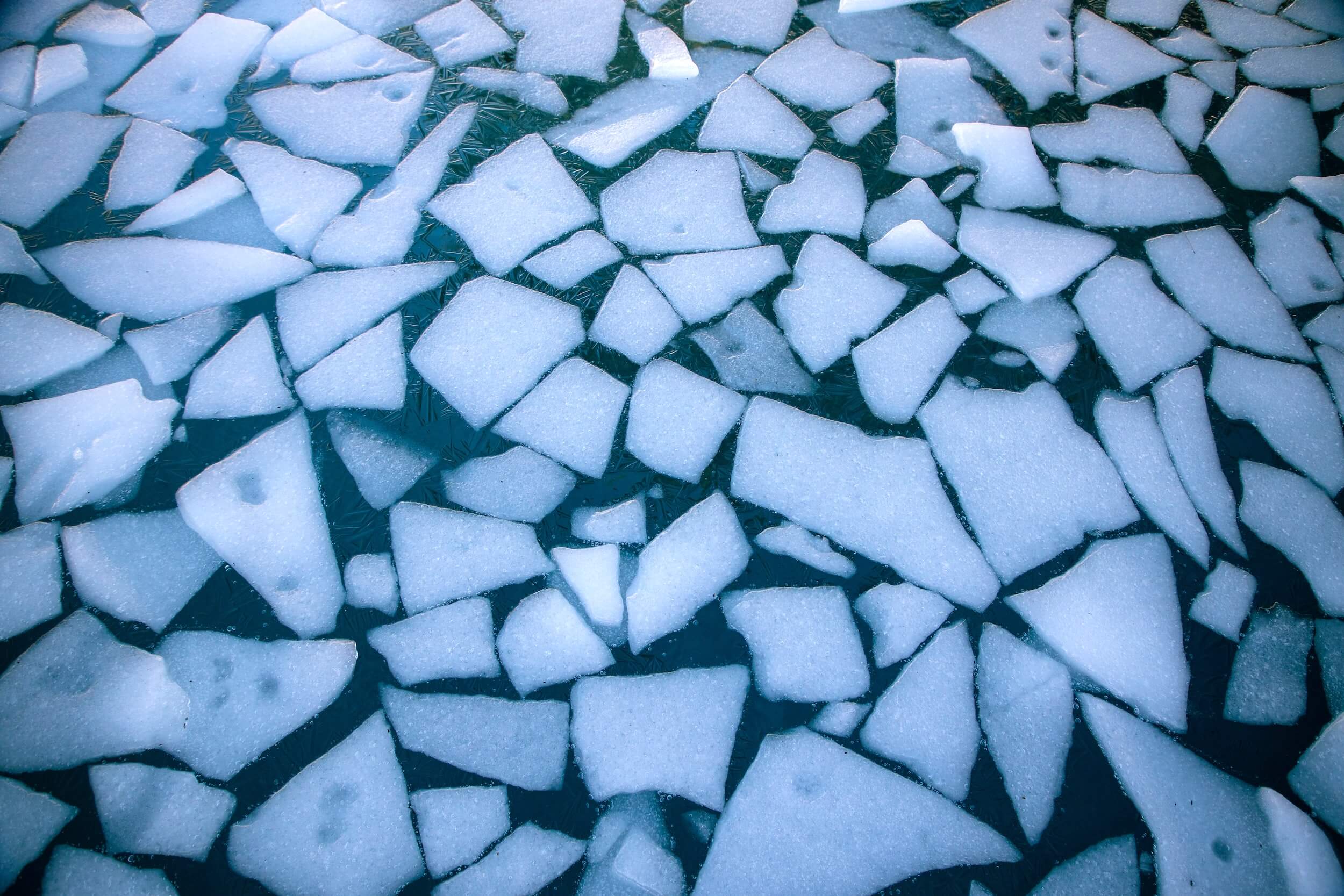 Top-down photo of shards of ice floating in cold blue water.