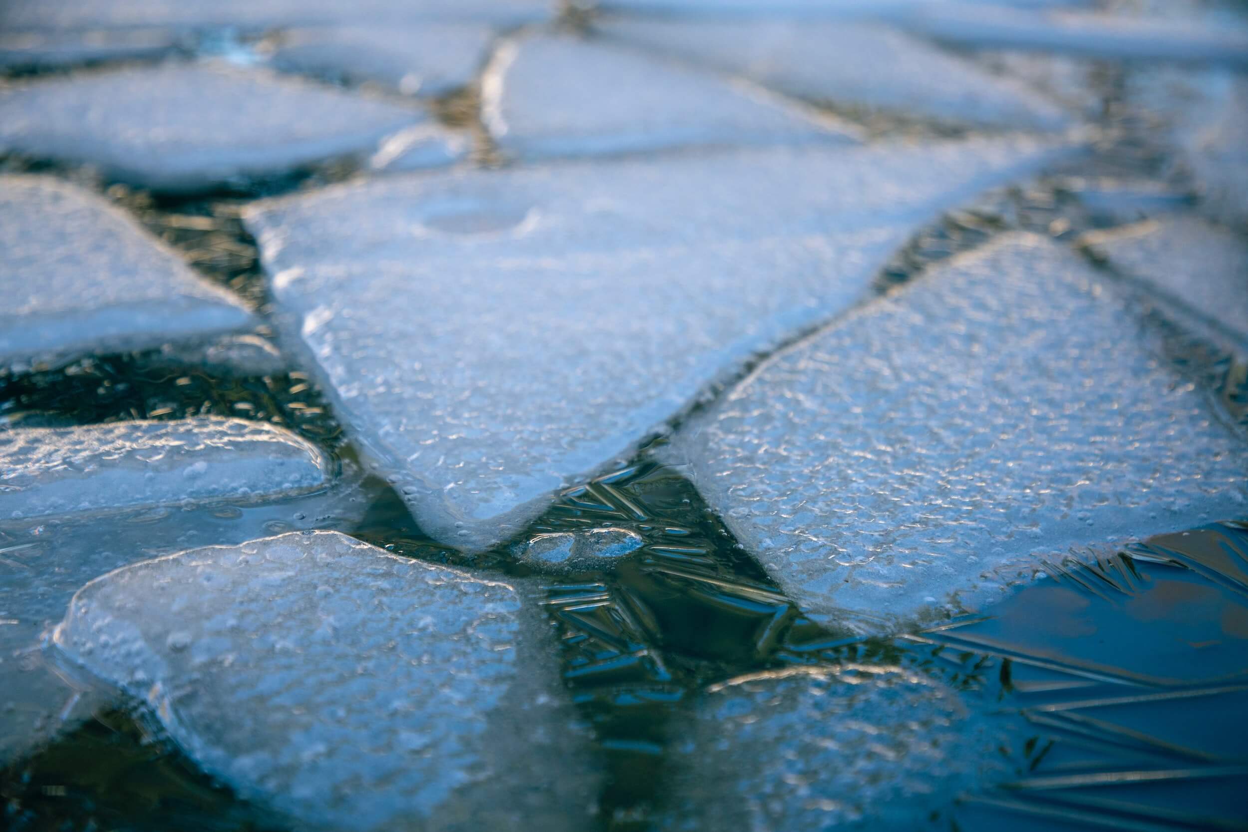 Photo of shards of ice floating in water