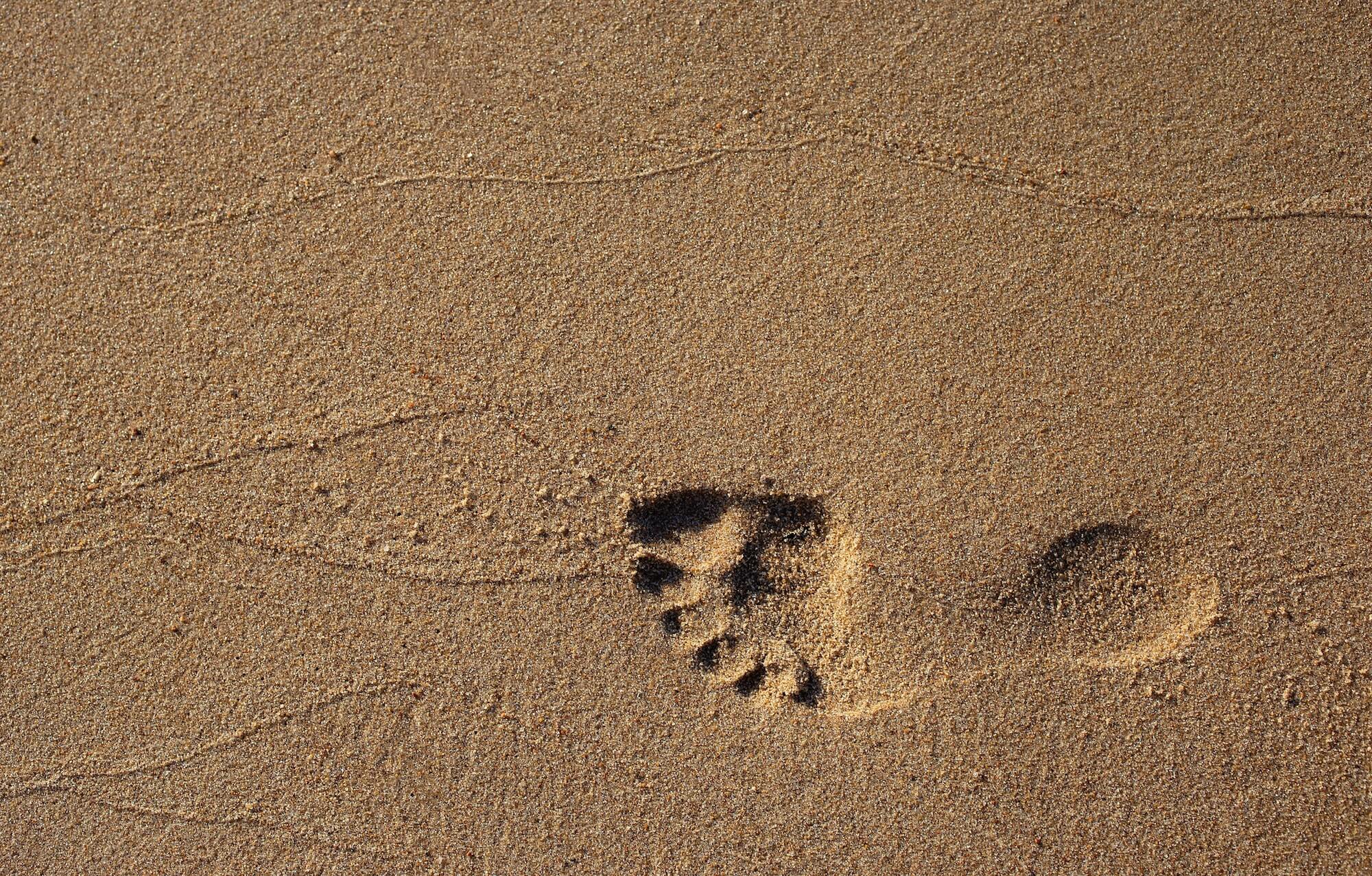 What we’re doing to reduce our carbon footprint at RotaCloud